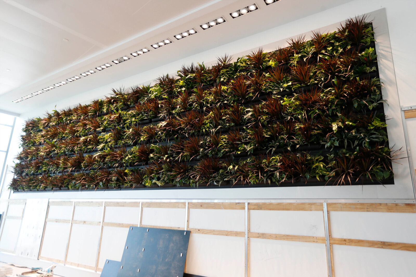 Living wall